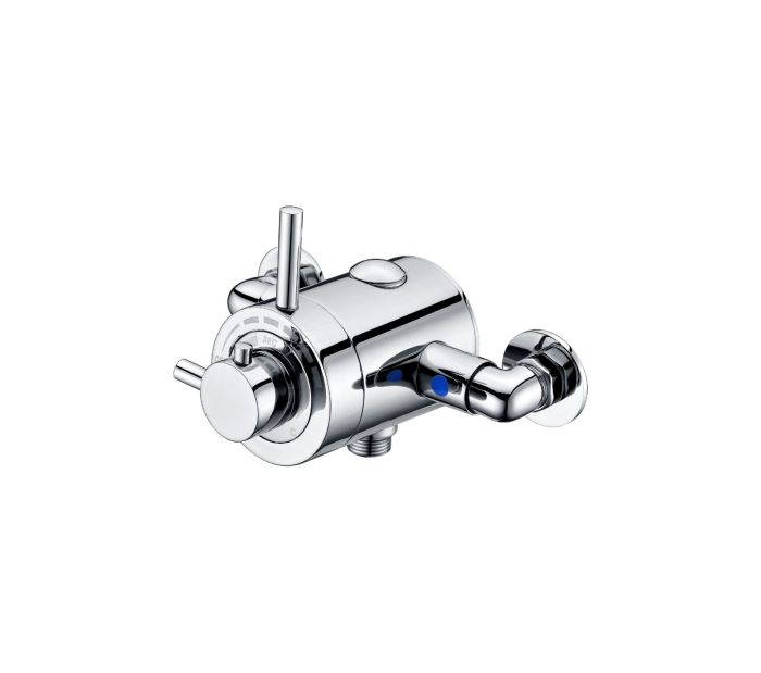 Dezine Modern Chrome Exposed Concentric Shower Valve, 1 Outlet