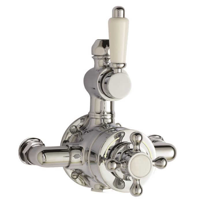 Dezine Earn Exposed Thermostatic Shower Valve with Diverter, 2 Outlet